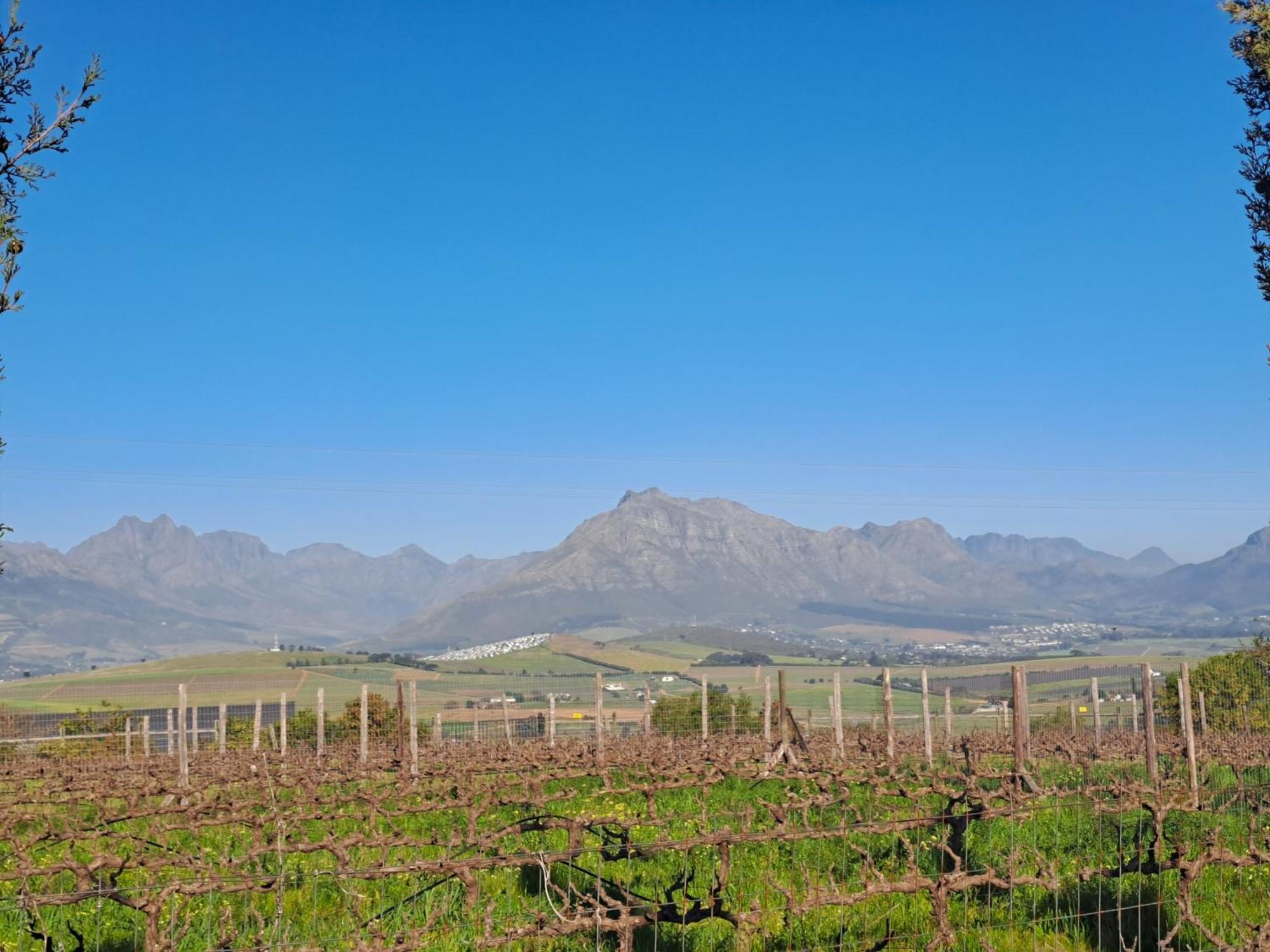 Domaine Coutelier Daire Stellenbosch Oda fotoğraf