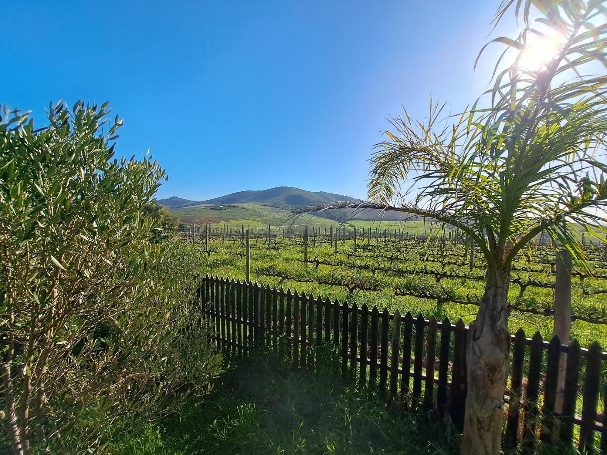 Domaine Coutelier Daire Stellenbosch Oda fotoğraf