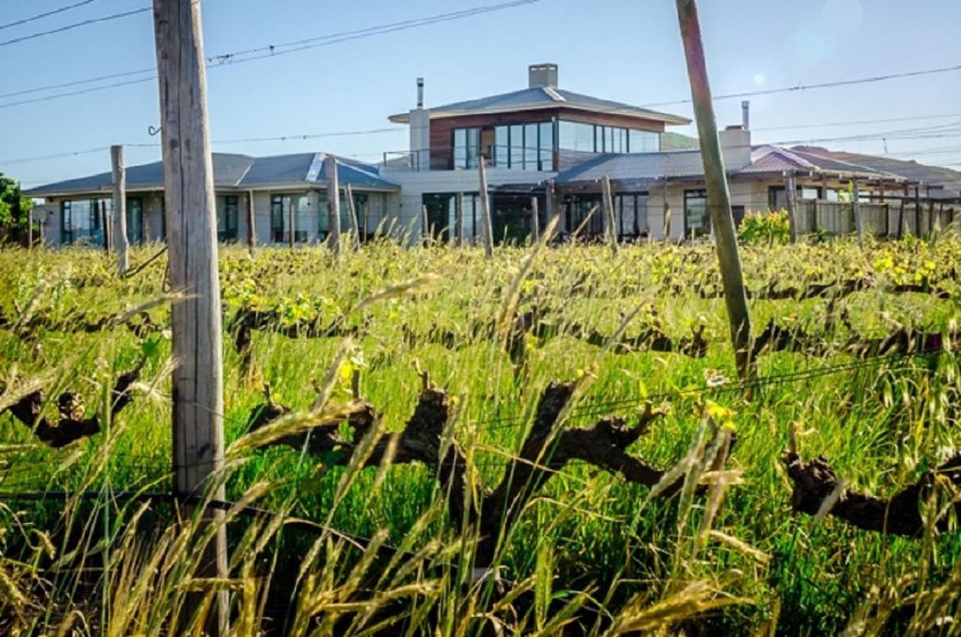 Domaine Coutelier Daire Stellenbosch Dış mekan fotoğraf