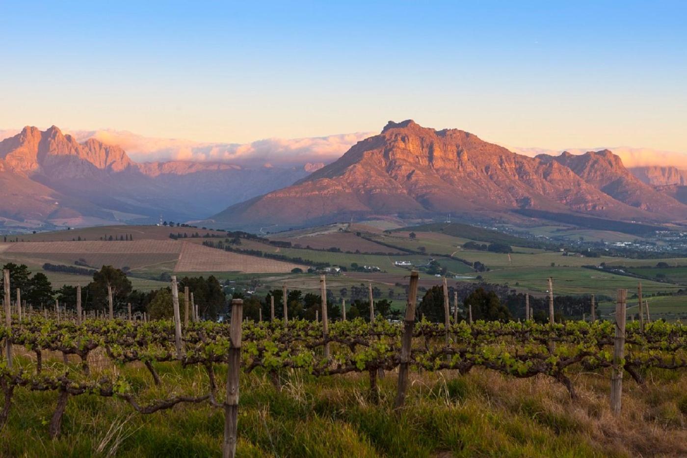 Domaine Coutelier Daire Stellenbosch Dış mekan fotoğraf