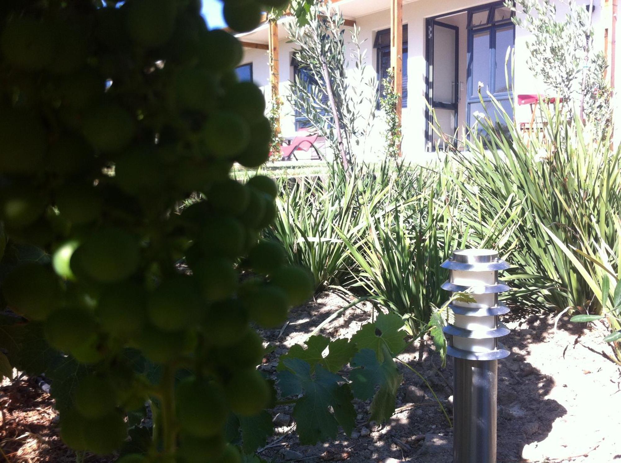 Domaine Coutelier Daire Stellenbosch Dış mekan fotoğraf